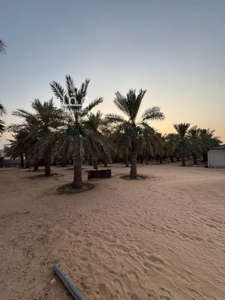 مزرعة للبيع في شارع البصر 786, حي البصر2, مدينة البصر, منطقة القصيم 18