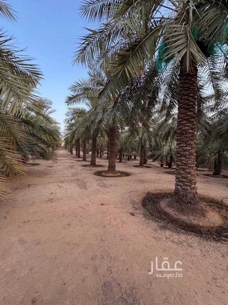 مزرعة للبيع في شارع البصر 786, حي البصر2, مدينة البصر, منطقة القصيم 27