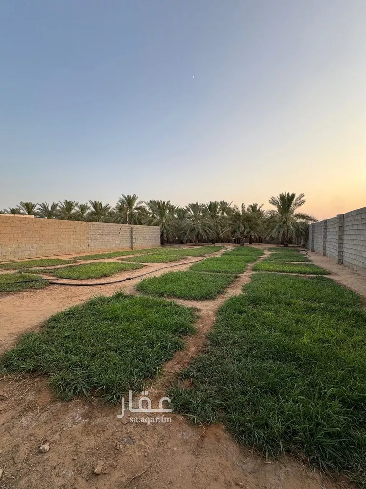 مزرعة للبيع في شارع البصر 786, حي البصر2, مدينة البصر, منطقة القصيم 28