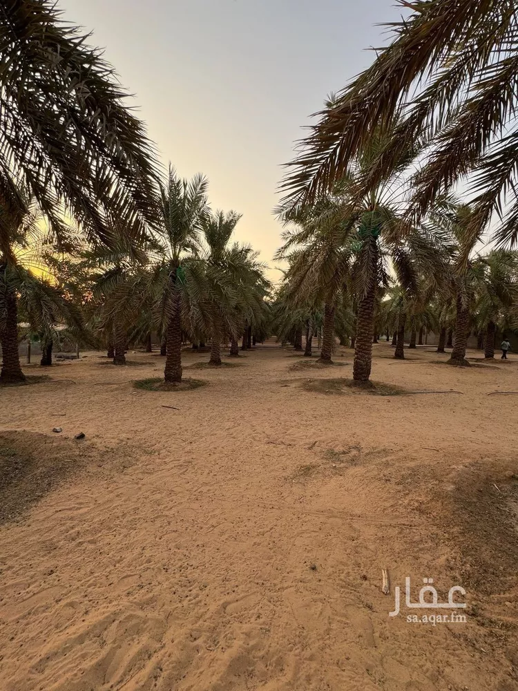 مزرعة للبيع في شارع البصر 786, حي البصر2, مدينة البصر, منطقة القصيم 23