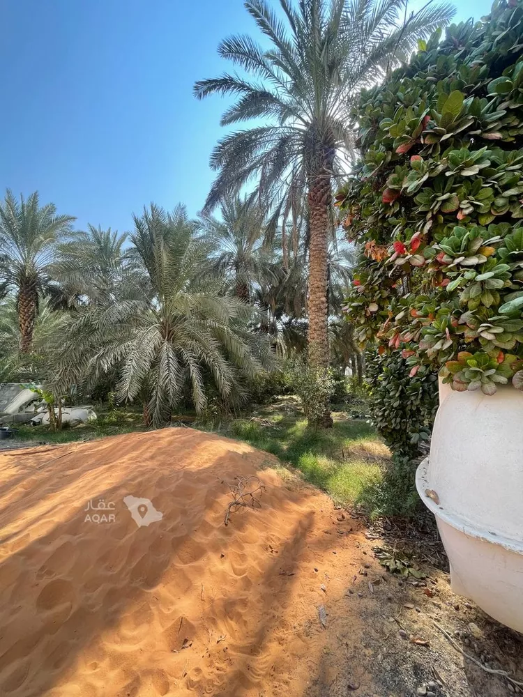 مزرعة للبيع في حي عريض, مدينة الرياض, منطقة الرياض 2