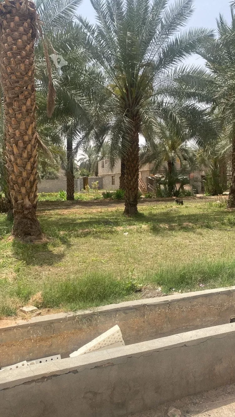 مزرعة للبيع في حي عريض, مدينة الرياض, منطقة الرياض صورة 3