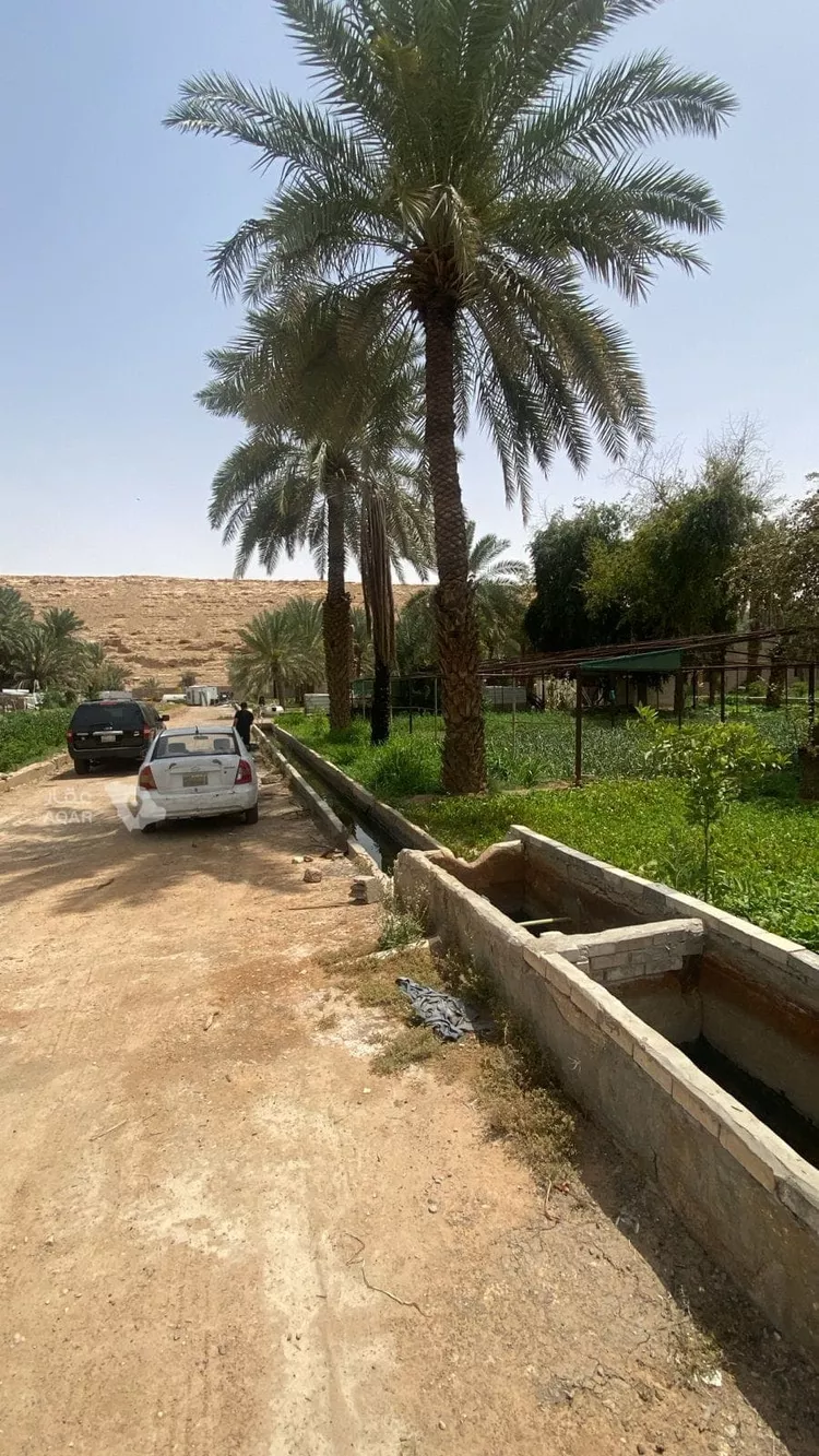 مزرعة للبيع في حي عريض, مدينة الرياض, منطقة الرياض 26