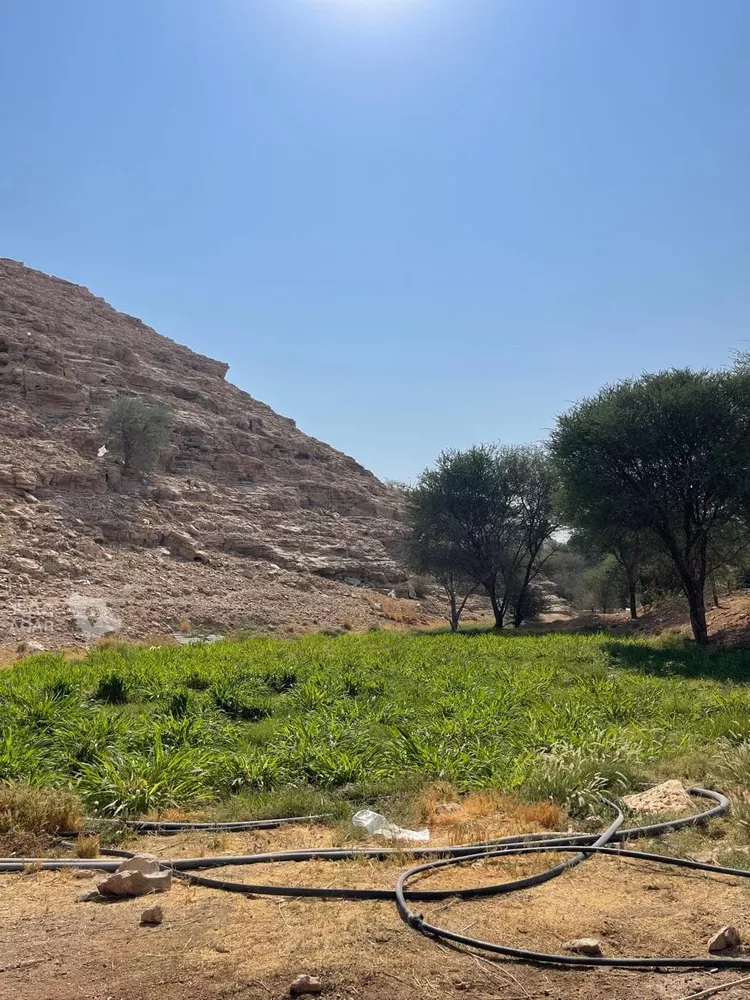 مزرعة للبيع في حي عريض, مدينة الرياض, منطقة الرياض 17