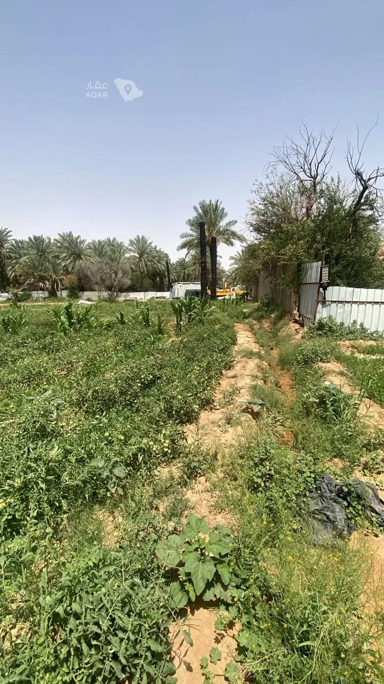 مزرعة للبيع في حي عريض, مدينة الرياض, منطقة الرياض 13