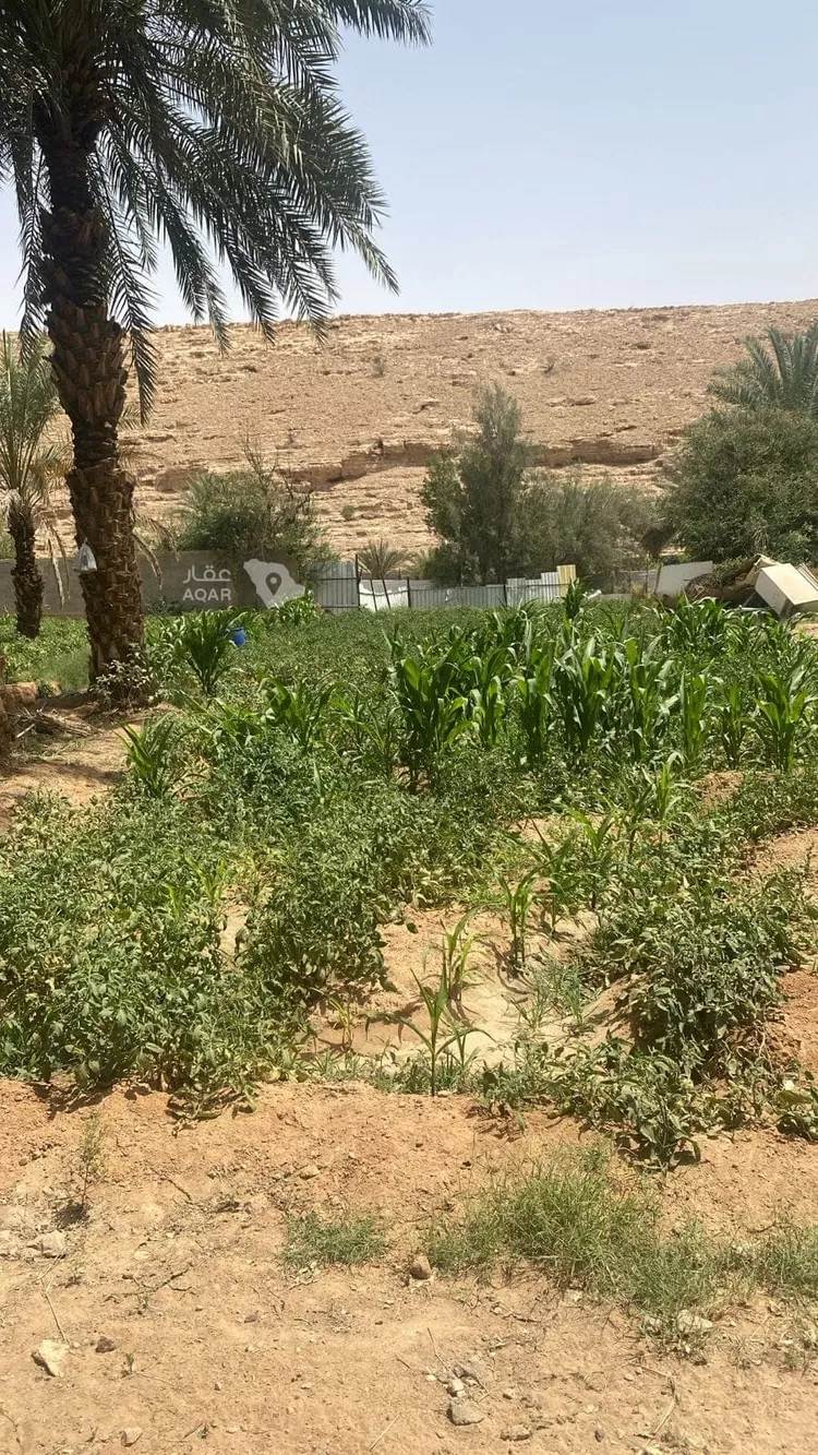 مزرعة للبيع في حي عريض, مدينة الرياض, منطقة الرياض 15