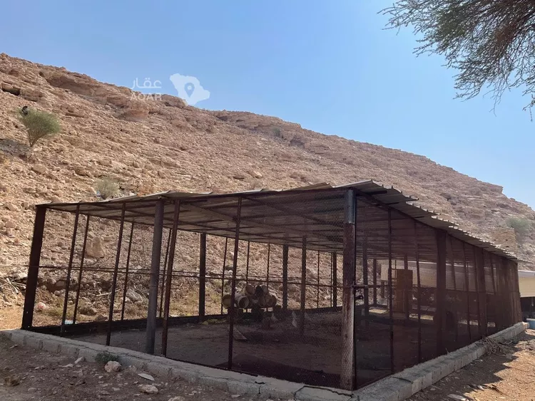 مزرعة للبيع في حي عريض, مدينة الرياض, منطقة الرياض 15