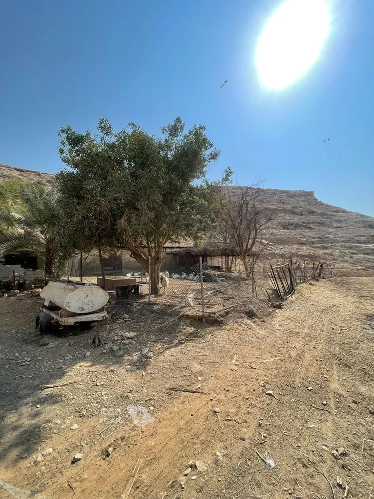 مزرعة للبيع في حي عريض, مدينة الرياض, منطقة الرياض 12
