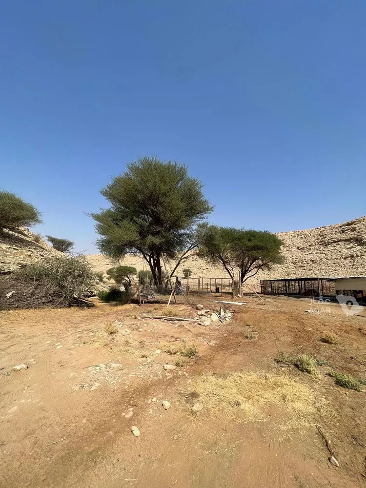 مزرعة للبيع في حي عريض, مدينة الرياض, منطقة الرياض 14