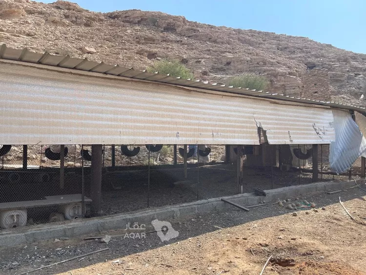 مزرعة للبيع في حي عريض, مدينة الرياض, منطقة الرياض 19
