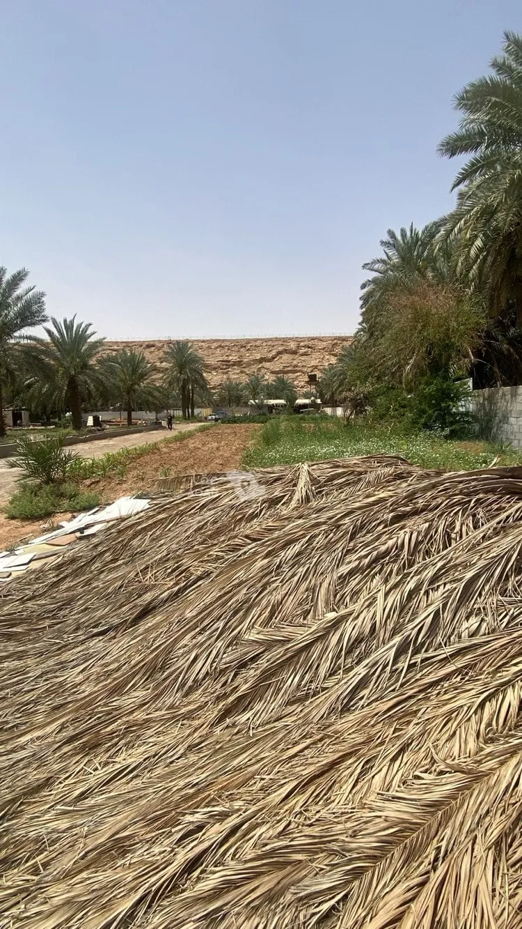 مزرعة للبيع في حي عريض, مدينة الرياض, منطقة الرياض 11