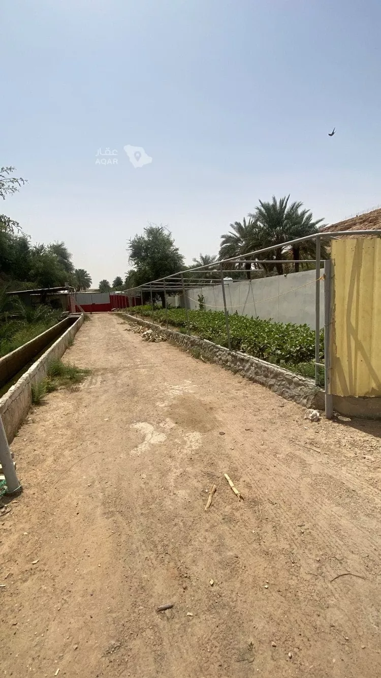 مزرعة للبيع في حي عريض, مدينة الرياض, منطقة الرياض 25