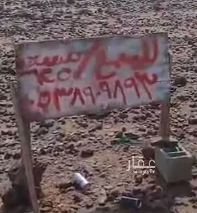 أرض للبيع في شارع طلحة بن الزبير ، السويرقية ، المهد