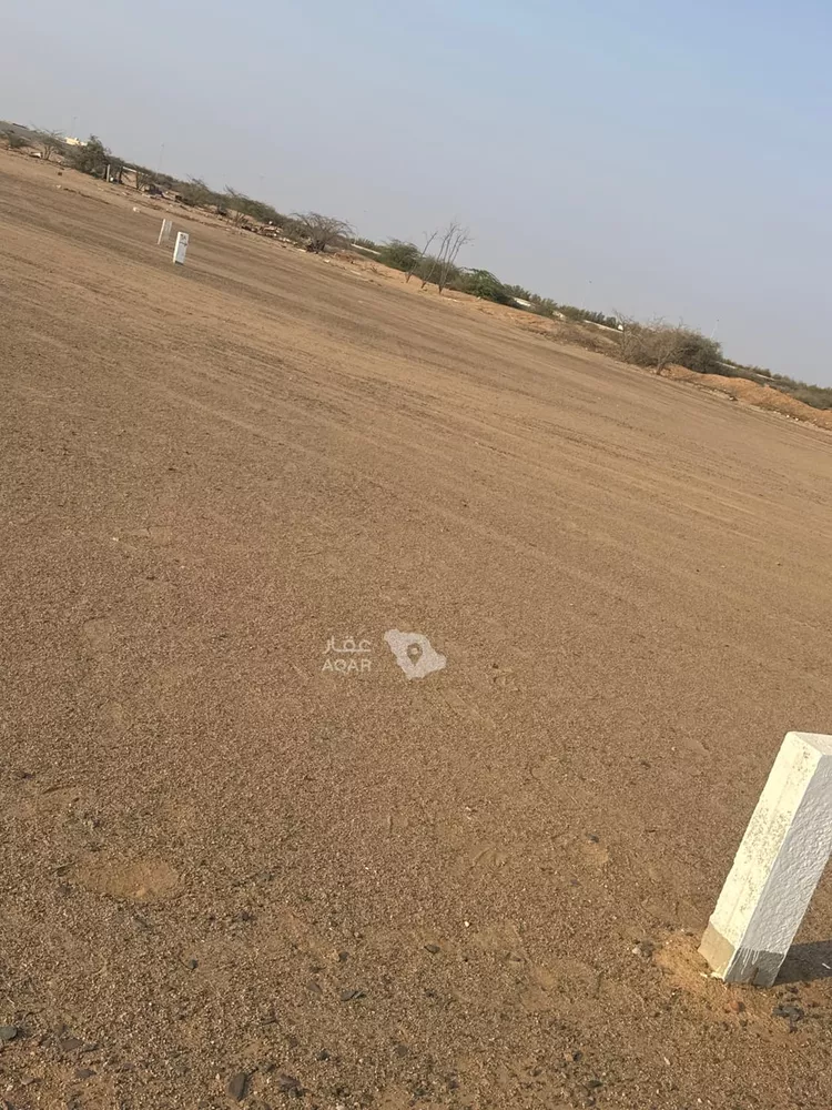 أرض للبيع في حي الشويضي, مدينة جدة, منطقة مكة المكرمة 5