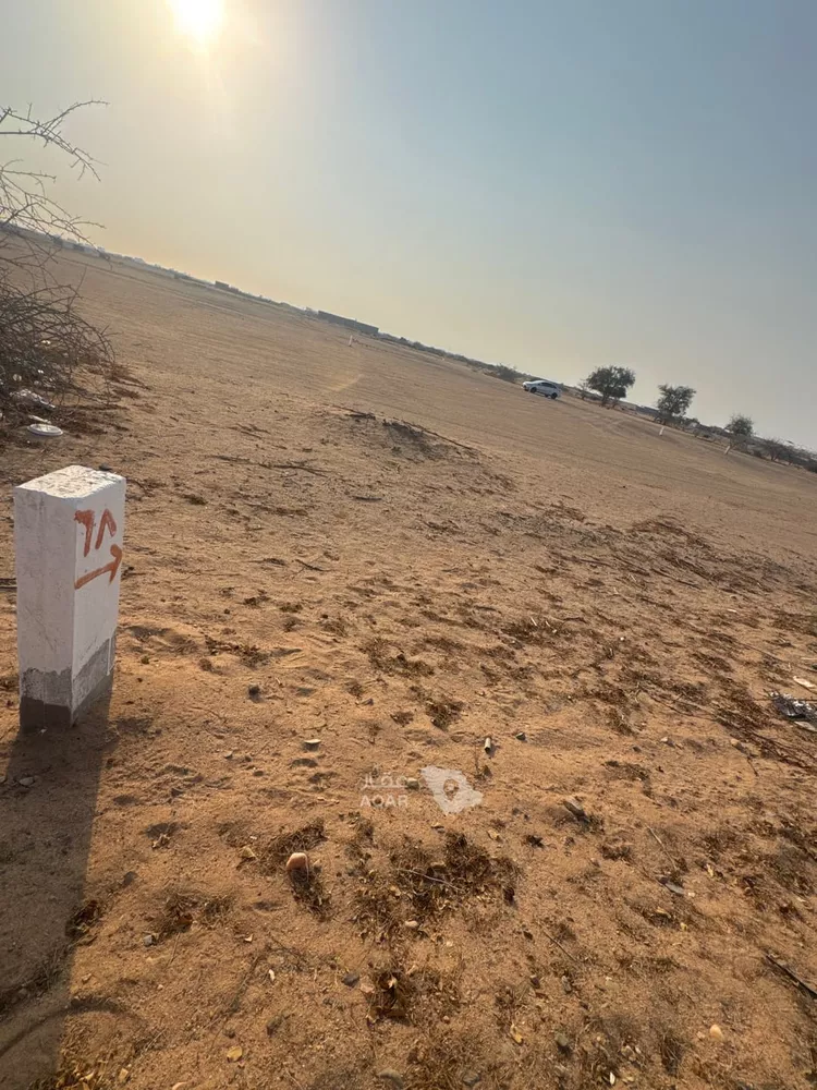 أرض للبيع في حي الشويضي, مدينة جدة, منطقة مكة المكرمة 6