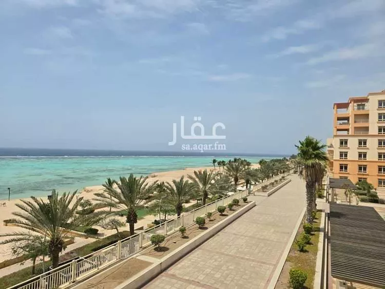 شقة للإيجار في شارع ناردين ، حي البيلسان ، مدينة الملك عبد الله الاقتصادية ، رابغ 12