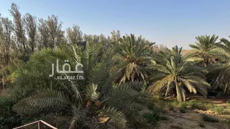 مزرعة للبيع في شارع هجره الذيبيه وخضراء 555 ، المشاعلة ، المزاحمية 4