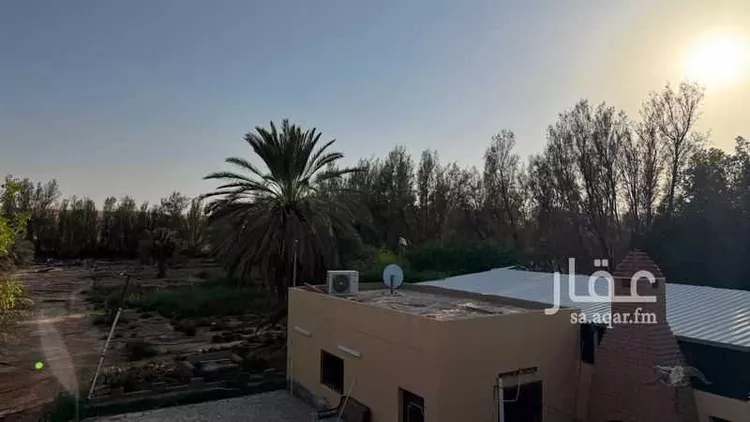 مزرعة للبيع في شارع هجره الذيبيه وخضراء 555 ، المشاعلة ، المزاحمية 3