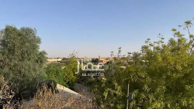 مزرعة للبيع في شارع هجره الذيبيه وخضراء 555 ، المشاعلة ، المزاحمية 5