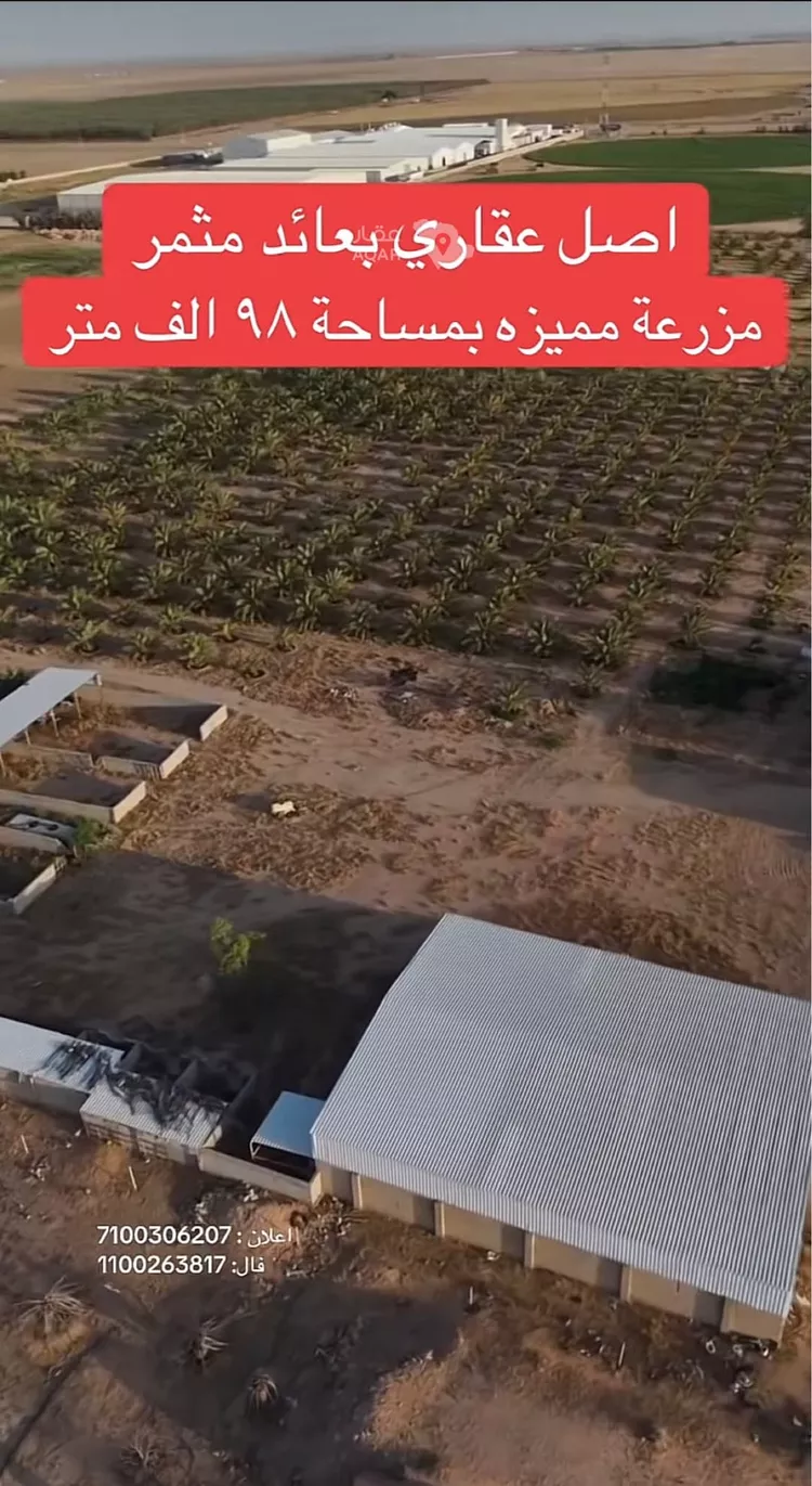 Farm for Sale in Al Badayea Qurtubah