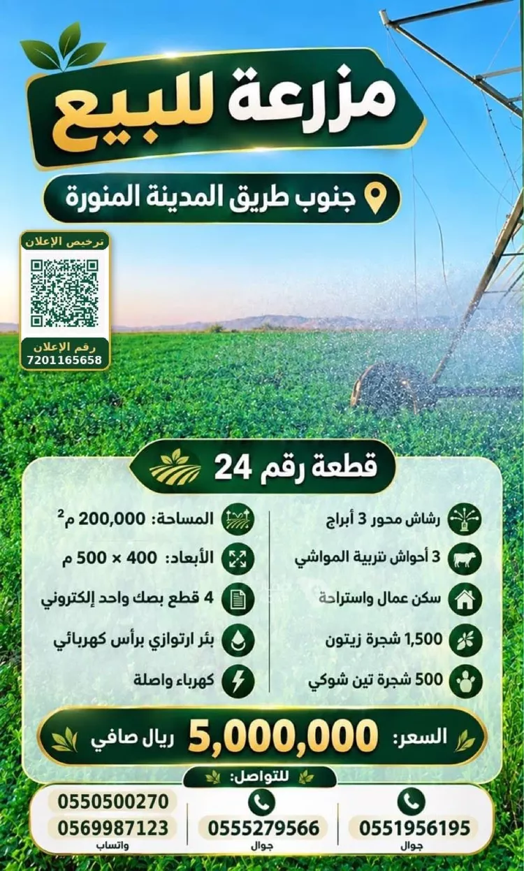 مزرعة للبيع في حي الهجن, مدينة تبوك, منطقة تبوك