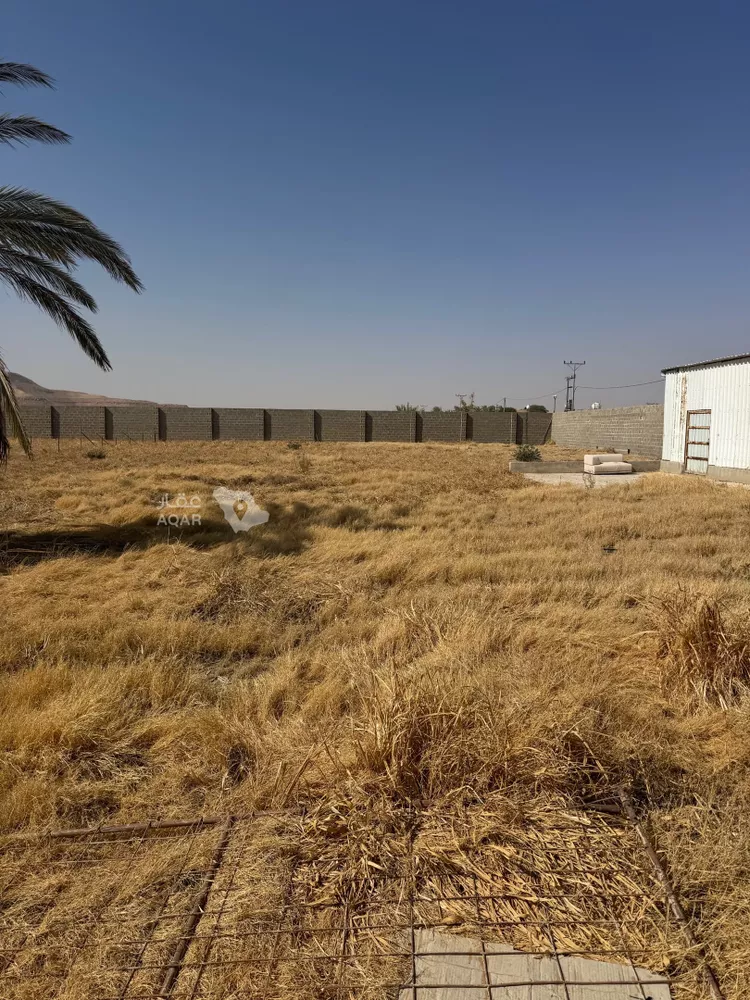 أرض للبيع في شارع هجرة الاوسط 2735, حي تجمع سكاني الحنية, مدينة تجمع سكاني الحنية, منطقة الرياض صورة 5
