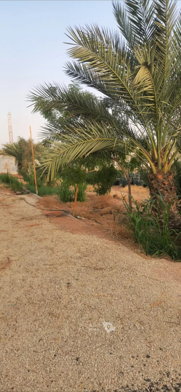 استراحة للبيع في الزلفي ، الزلفي 2