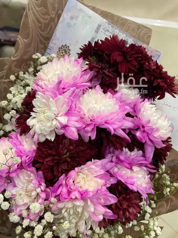 فيلا للبيع في شارع عبدالرحمن بن سلمة ، حي المونسية ، الرياض ، الرياض