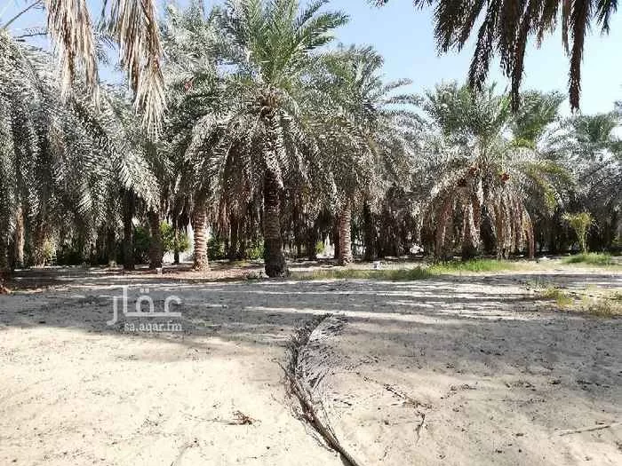 مزرعة للبيع في الدمام ، الدمام صورة 3
