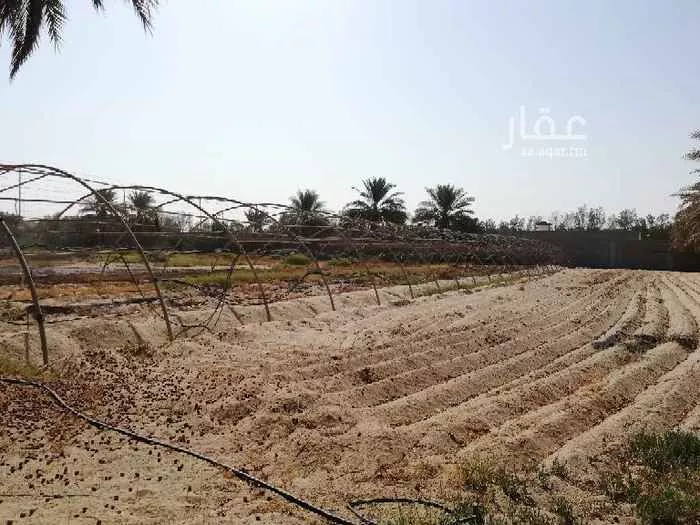 مزرعة للبيع في الدمام ، الدمام صورة 4