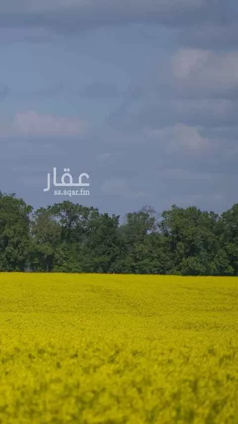 أرض للبيع في الطريق الدائري الشمالي الفرعي ، حي المصيف ، الرياض ، الرياض