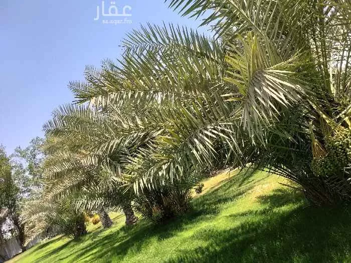 شاليه واستراحة للحجز في سيهات ، القطيف 23