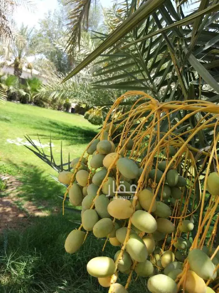 شاليه واستراحة للحجز في سيهات ، القطيف 24