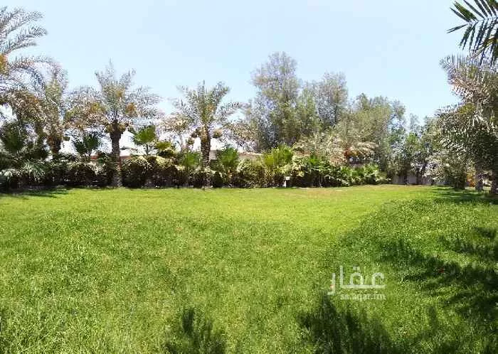 شاليه واستراحة للحجز في سيهات ، القطيف 25